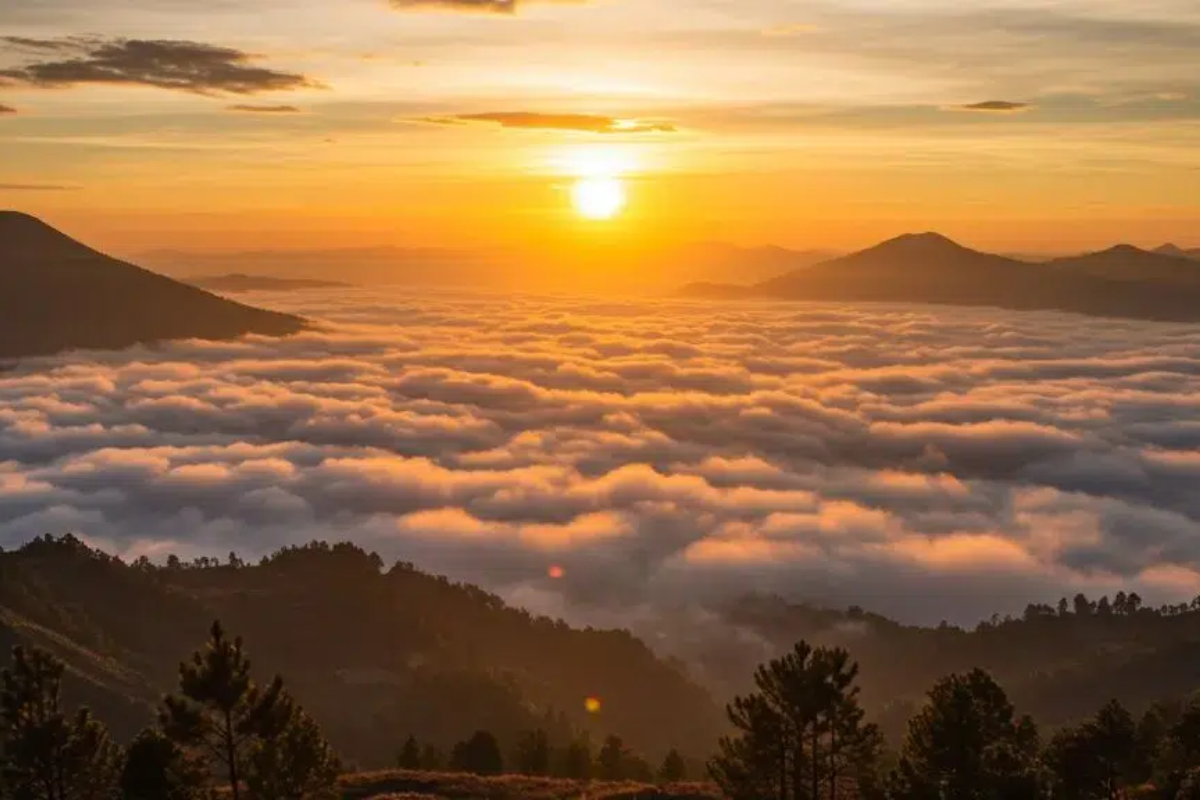 Golden Sunrise Sikunir: Tips Berburu Sunrise di Bukit Sikunir Dieng